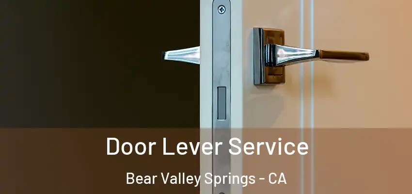 Door Lever Service Bear Valley Springs - CA